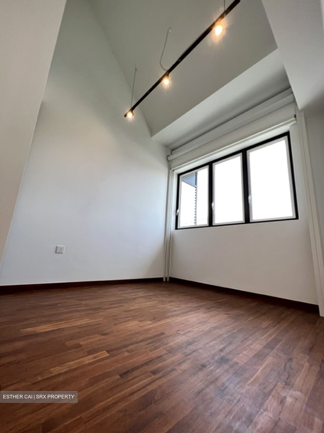 The Verandah Residences (D5), Apartment #417715601